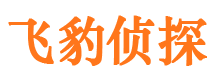 东风捉小三公司